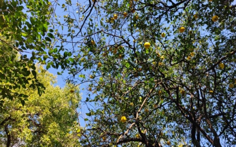 上海工商职业技术学院