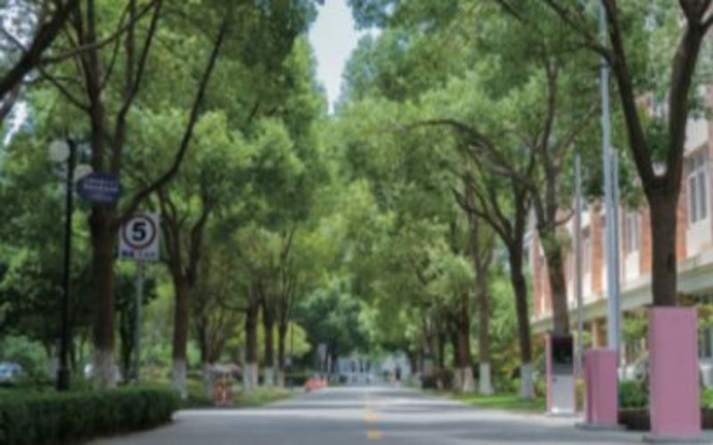 上海科创职业技术学院