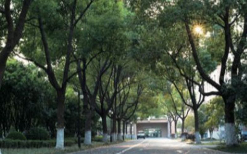 上海科创职业技术学院