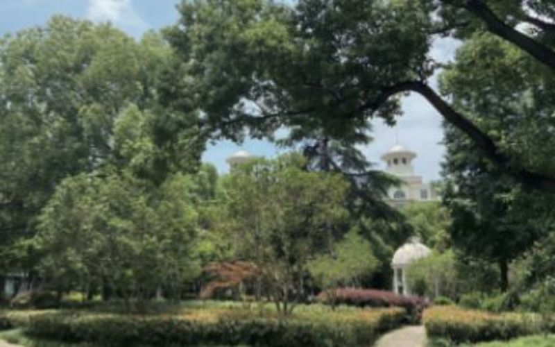 上海科创职业技术学院