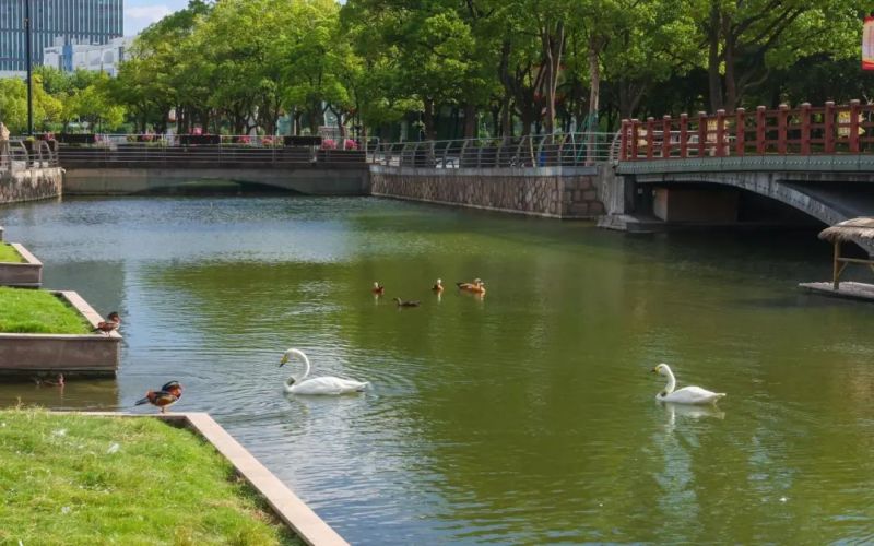 上海中医药大学