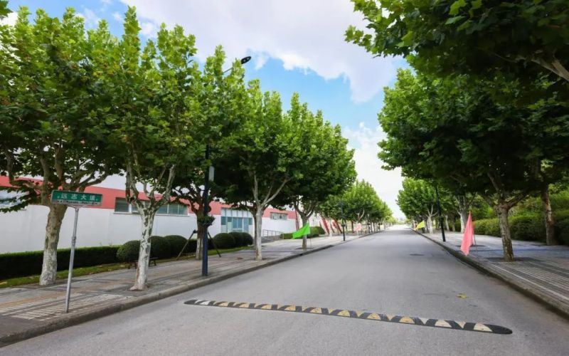 上海中医药大学