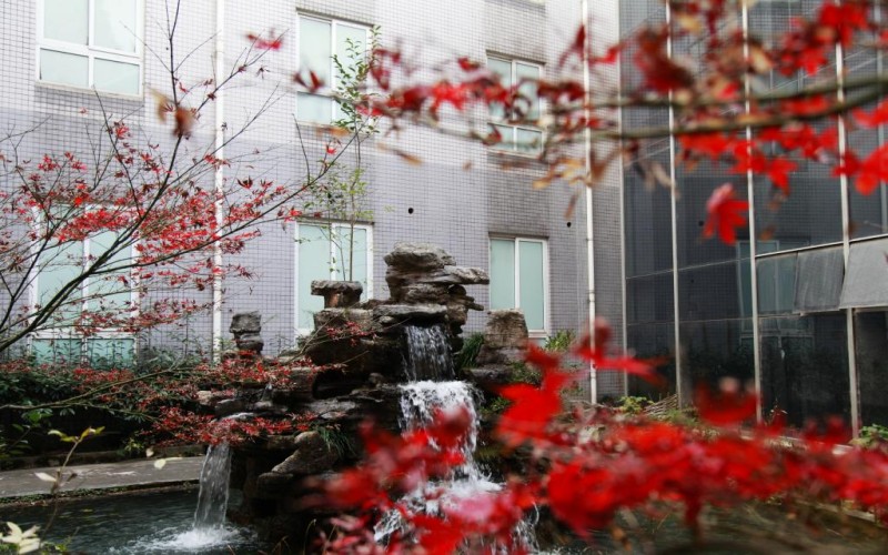 上海南湖职业技术学院