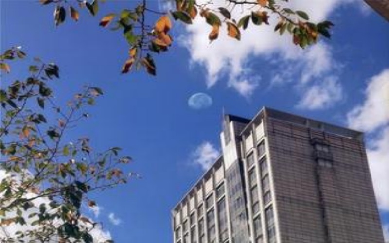 上海外国语大学贤达经济人文学院