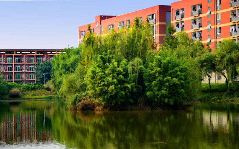 西南财经大学天府学院