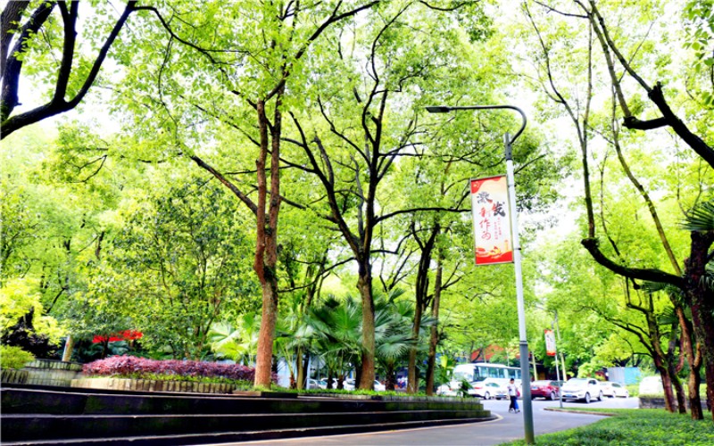 重庆城市科技学院