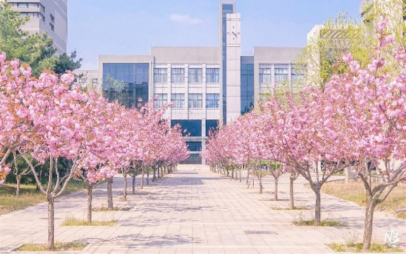 北京理工大学