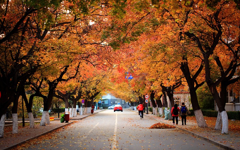 北京大学医学部