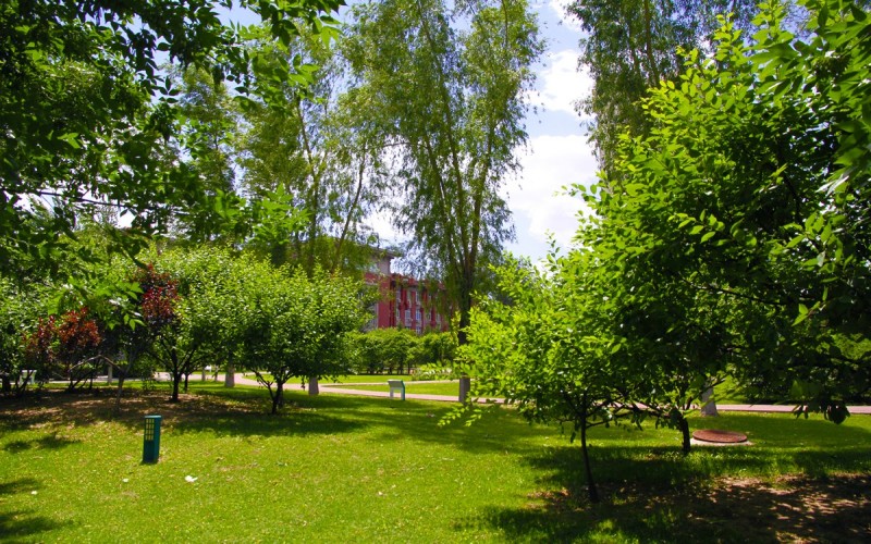 北京大学医学部