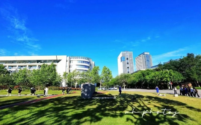 山东大学（威海）