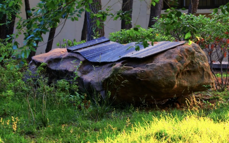 山东大学（威海）