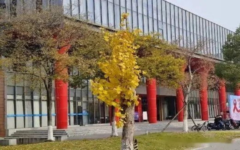 南京中医药大学