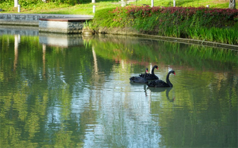 中国人民大学（苏州校区）