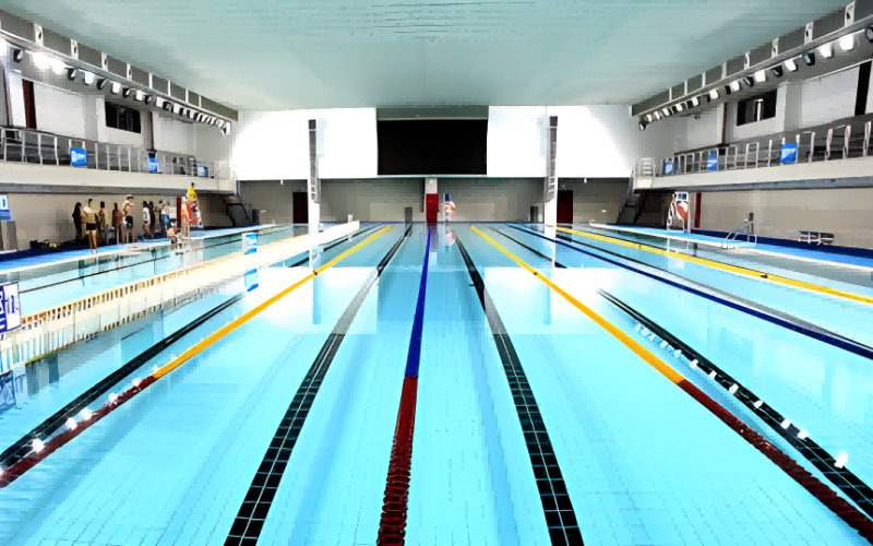 对外经济贸易大学