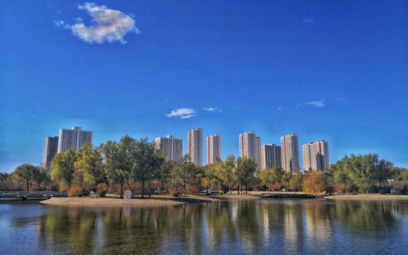 黑龙江八一农垦大学