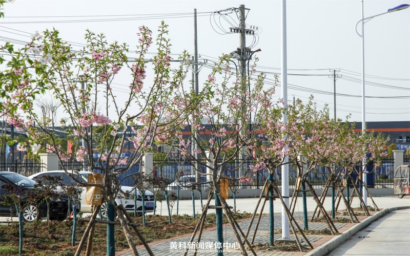 黄冈科技职业学院