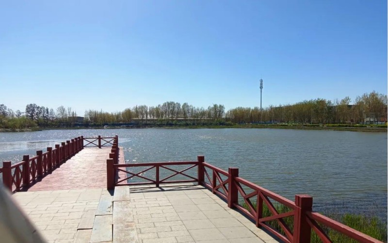 天津渤海职业技术学院