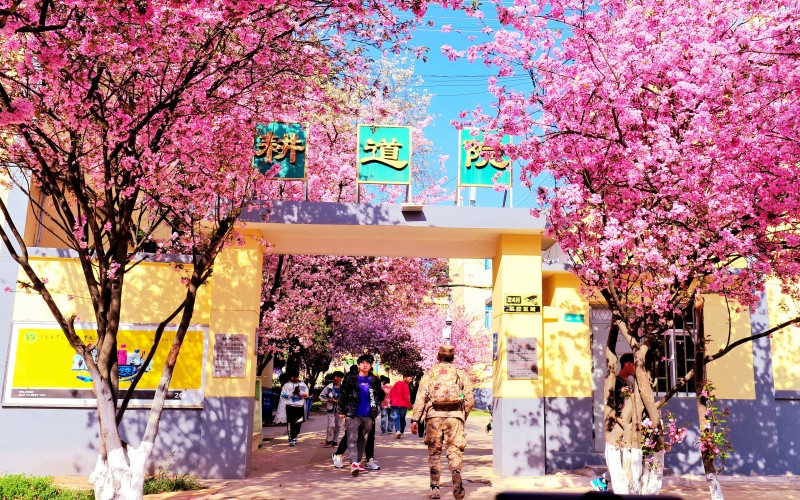 云南农业职业技术学院