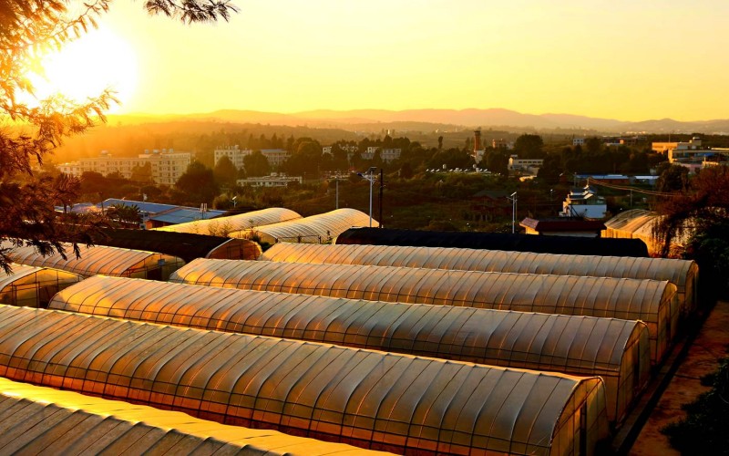 云南农业职业技术学院