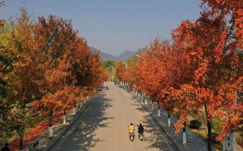 桂林电子科技大学