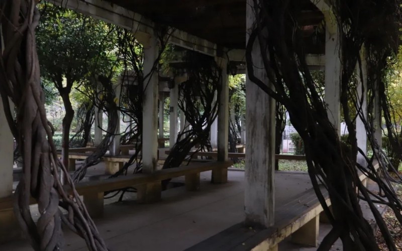 陕西能源职业技术学院