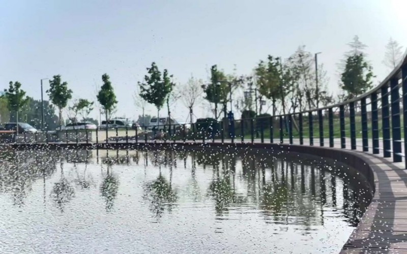 河南女子职业学院