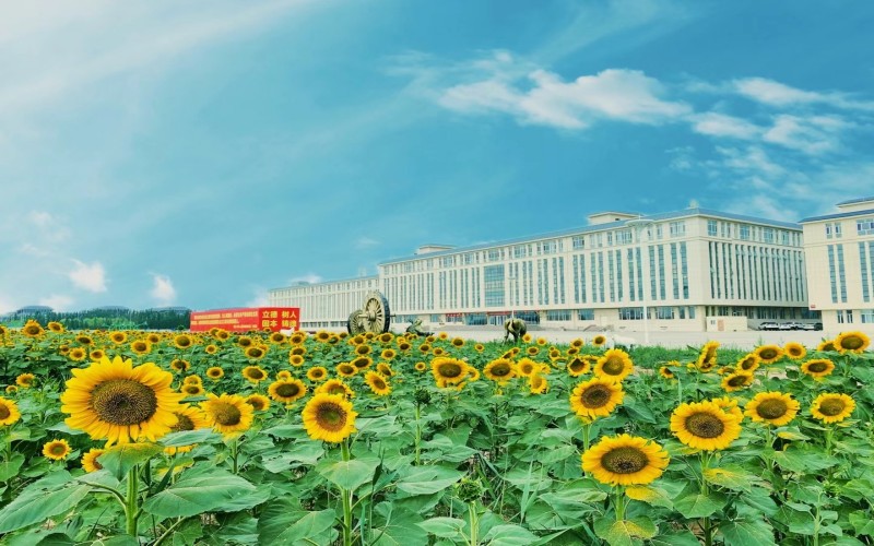 内蒙古美术职业学院