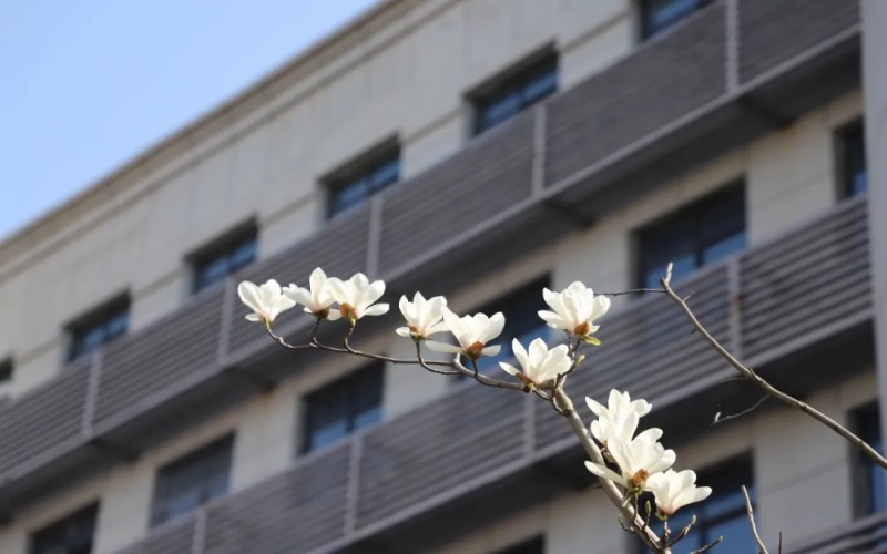 亳州职业技术学院