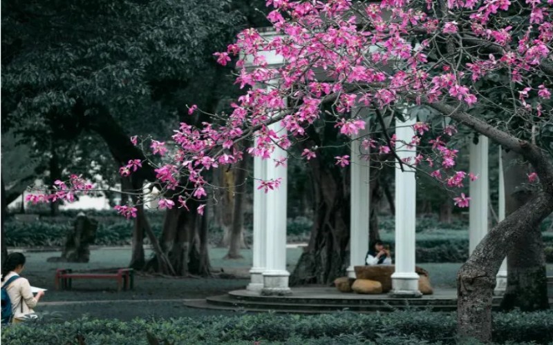 广东外语外贸大学