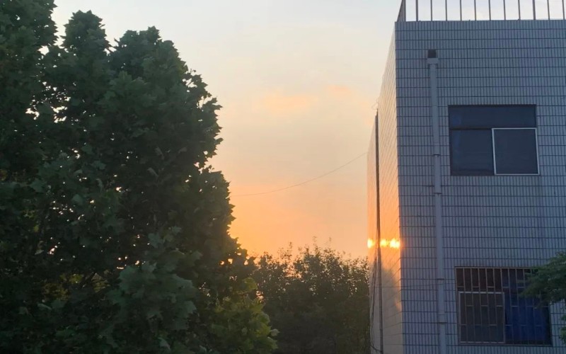 山东胜利职业学院