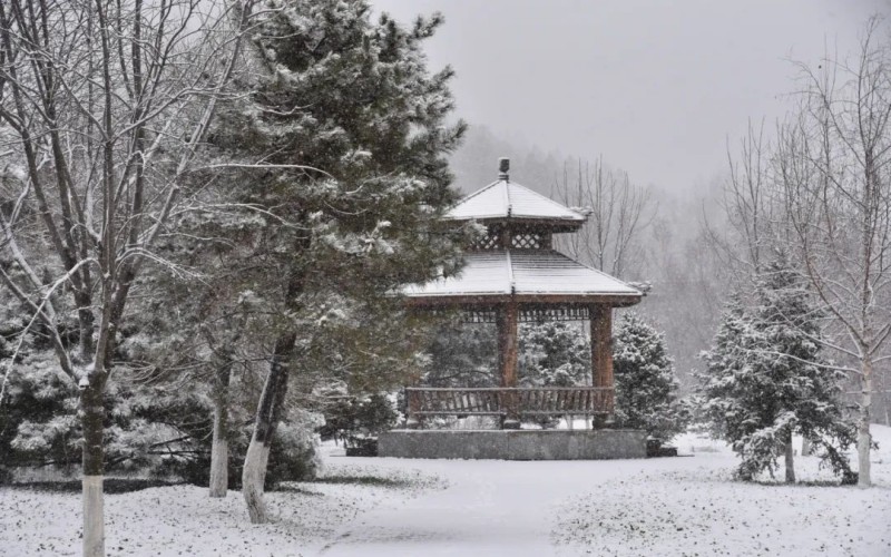 长白山职业技术学院