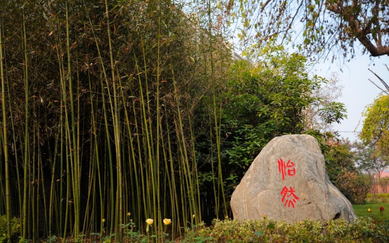 郑州财税金融职业学院