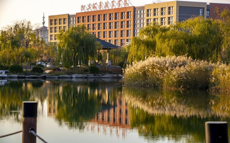 山东海事职业学院