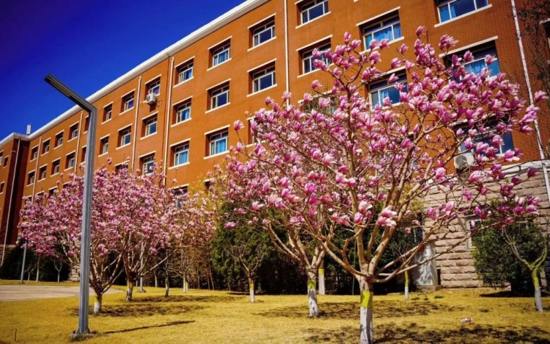 北京交通职业技术学院