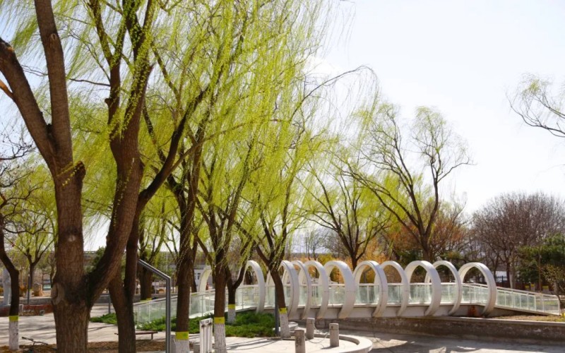 北京交通职业技术学院