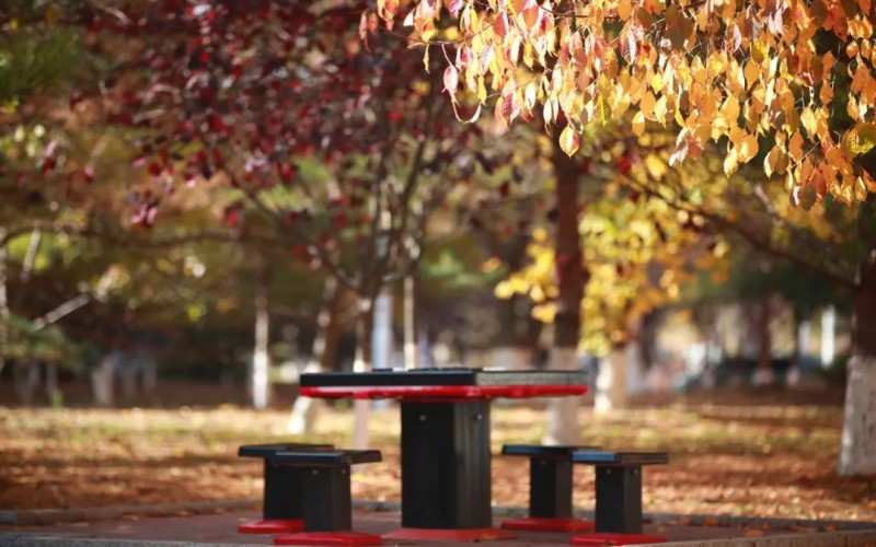 长春汽车职业技术大学