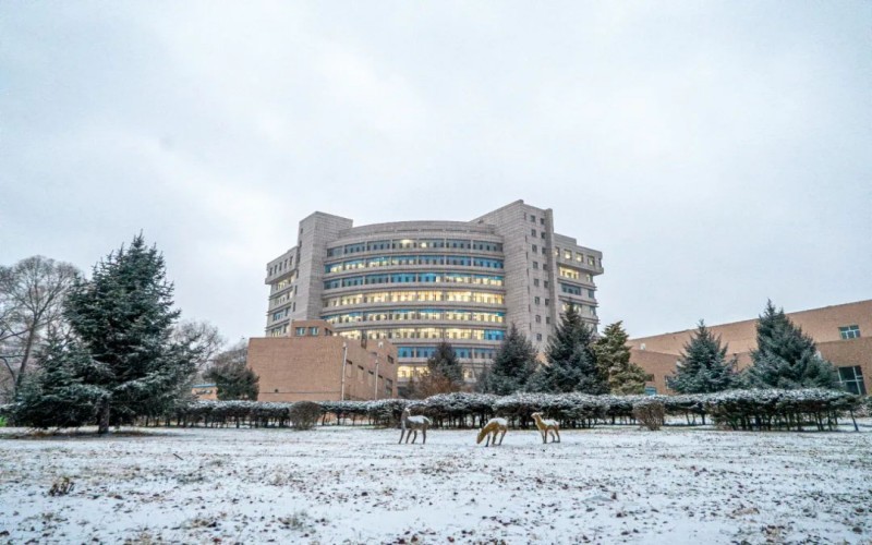 哈尔滨理工大学