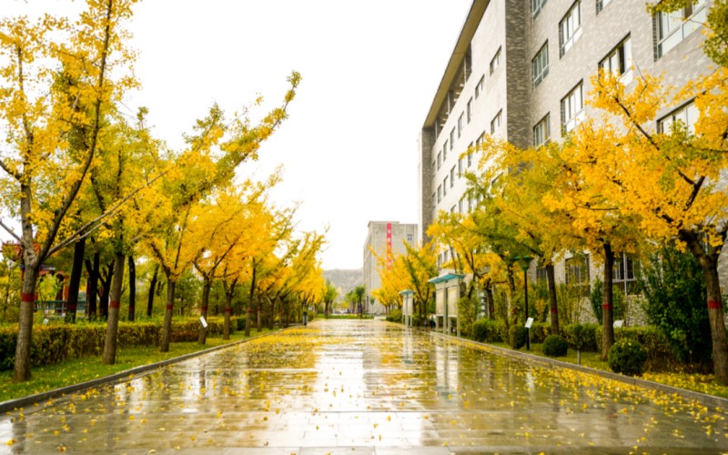 河北农业大学现代科技学院