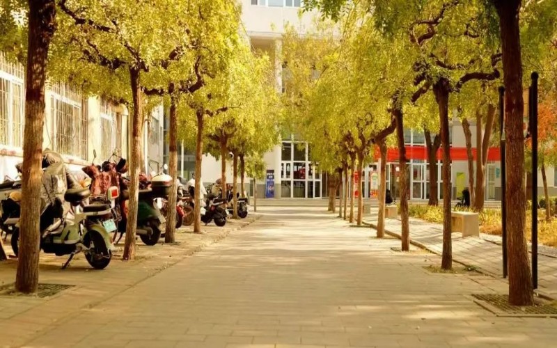 保定职业技术学院