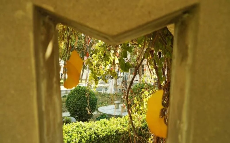 保定职业技术学院