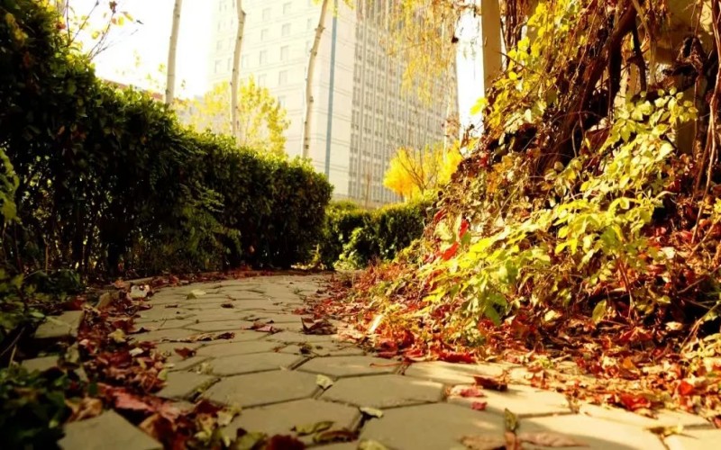 保定职业技术学院