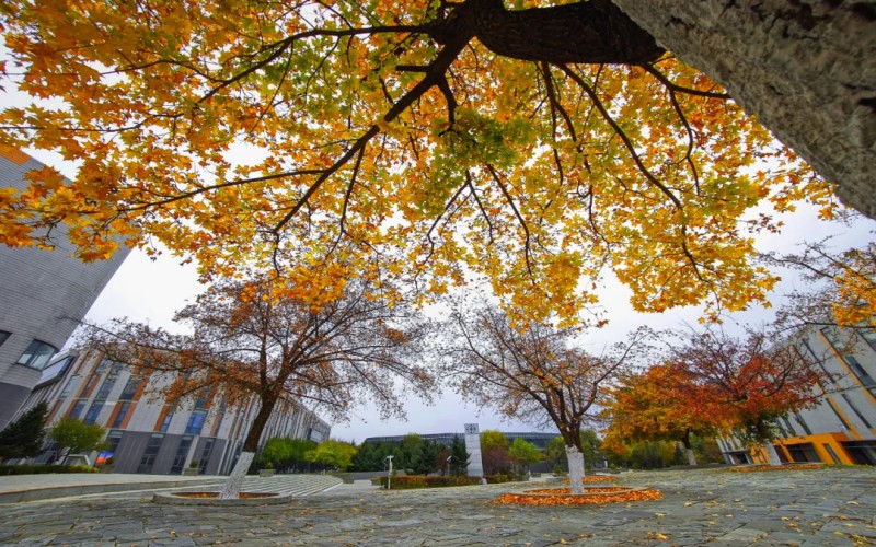辽宁城市建设职业技术学院