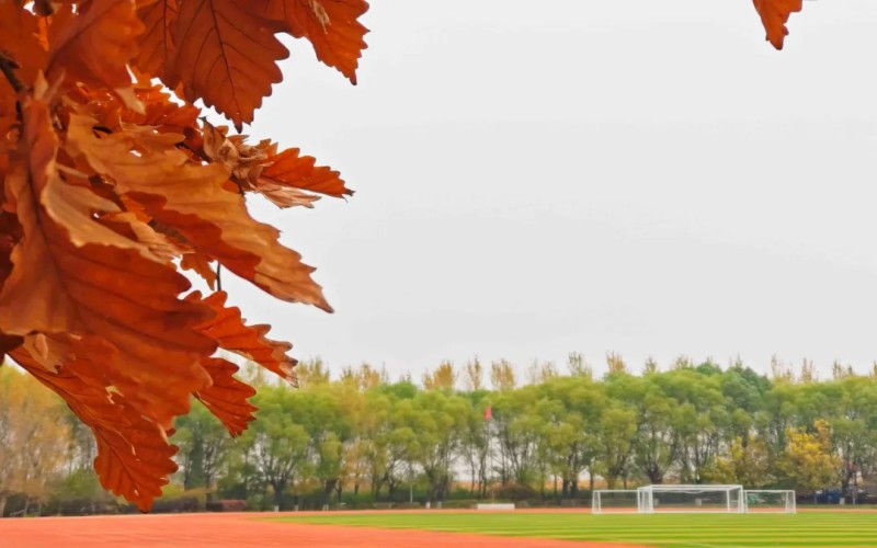 辽宁城市建设职业技术学院