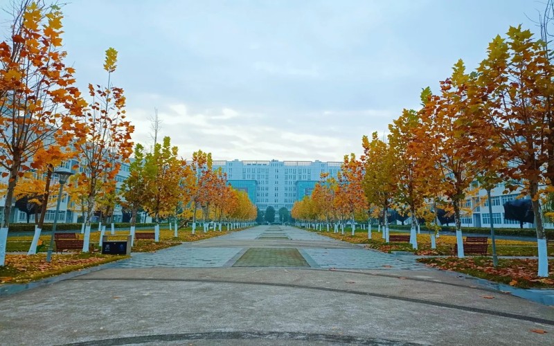 绵阳师范学院