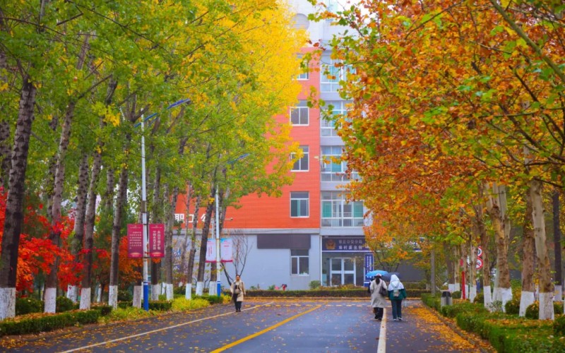 山东传媒职业学院