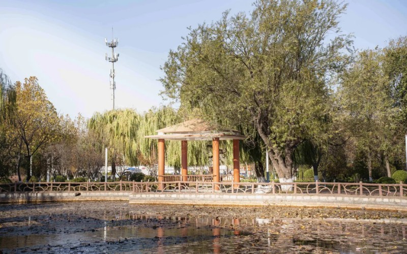 山东工业职业学院