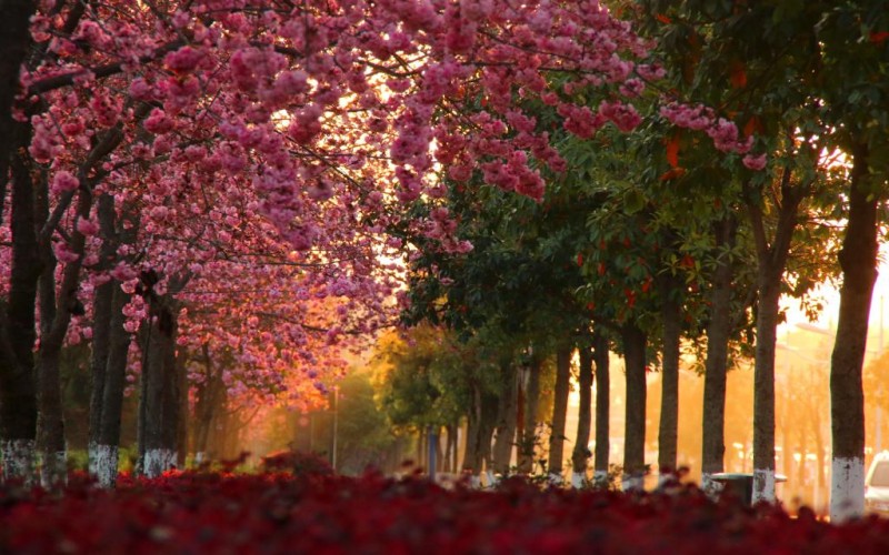 云南能源职业技术学院