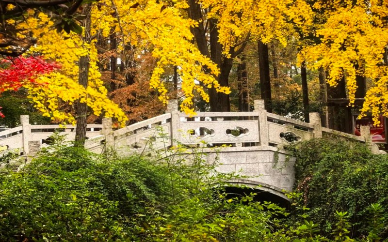 苏州农业职业技术学院