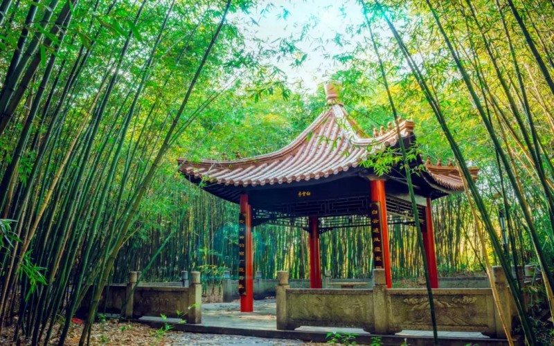 浙江广厦建设职业技术大学