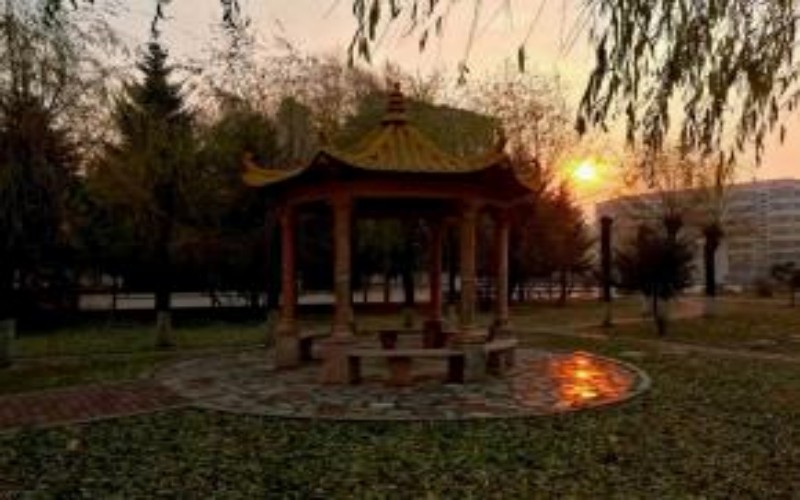 黑龙江农业职业技术学院